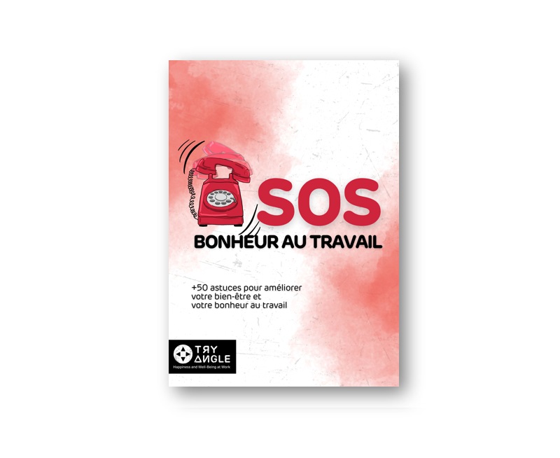 E-book: SOS bonheur au travail